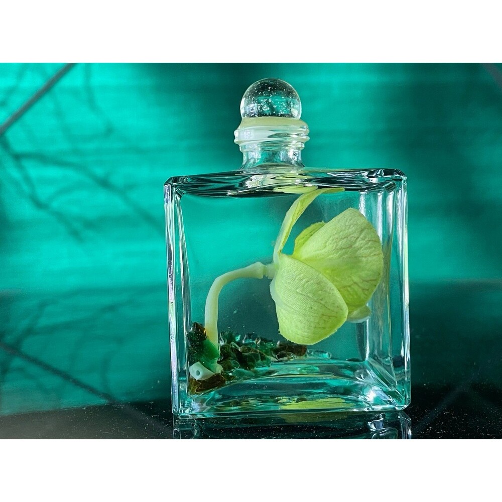 Unique glass vile cube with floating orchid